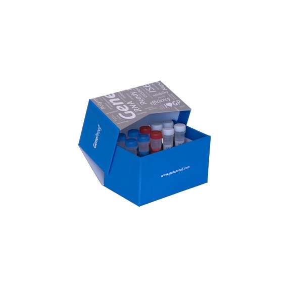 GeneProof Herpes Simpex Virus(HSV 1/2) 25 Test PCR Kit