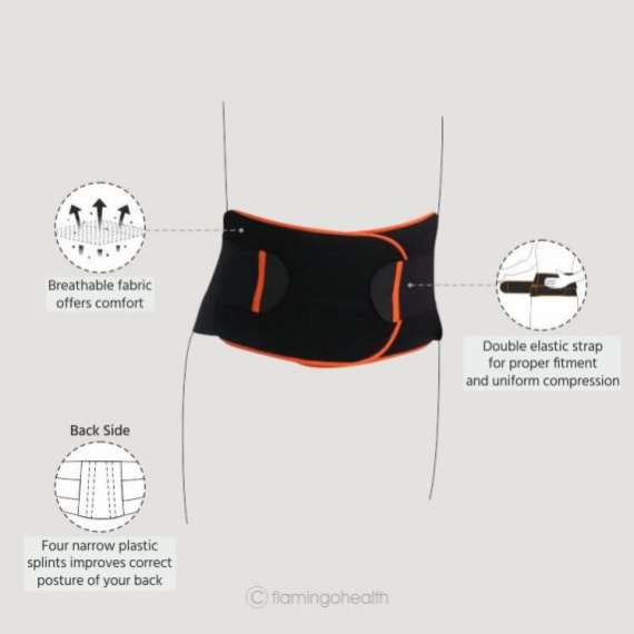 Flamingo OC-2001 Lumbar Sacro Belt, 4 image