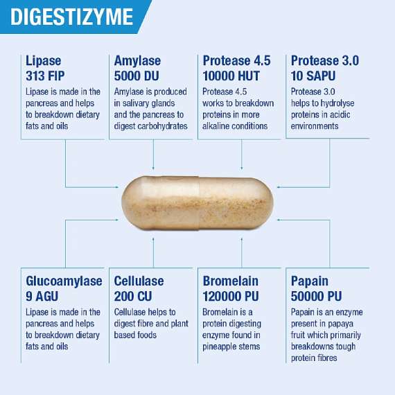 Lamberts Digestizyme 100 Capsules Supplement, 4 image