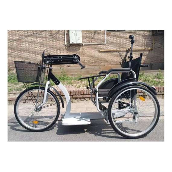 Sunpower Manual Tricycle