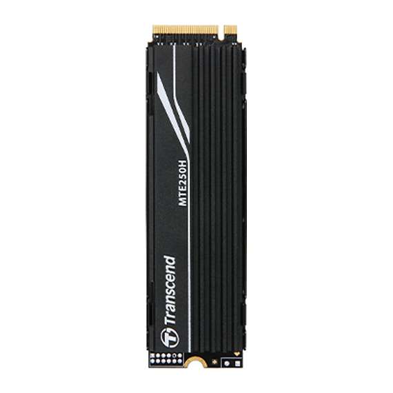 Transcend TS1TMTE250H  1TB M.2 Internal SSD with Heat Sink, 2 image