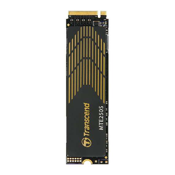 Transcend TS1TMTE250S 1TB M.2 Internal SSD with Heat Sink, 2 image