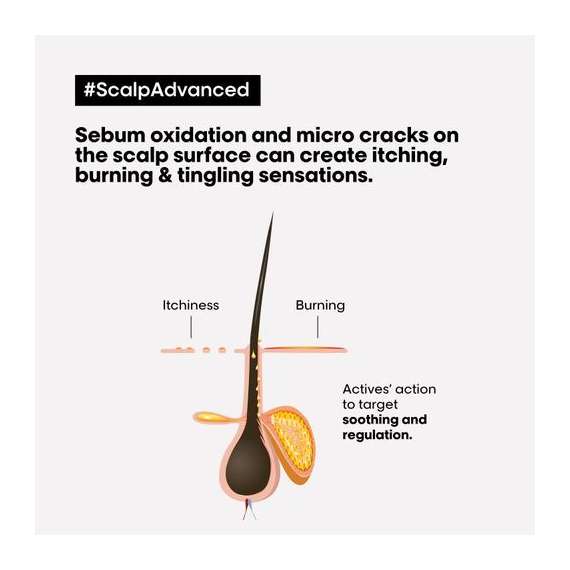 Loreal 300ml Scalp Advanced Dermo Regulator Shampoo, 2 image