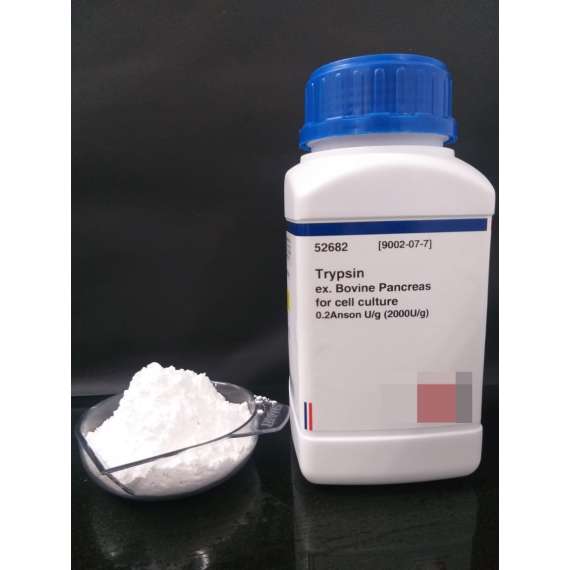 Griffchem 100G Trypsin Lab Reagent