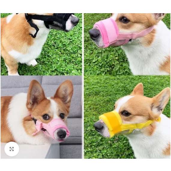 Dog Muzzle