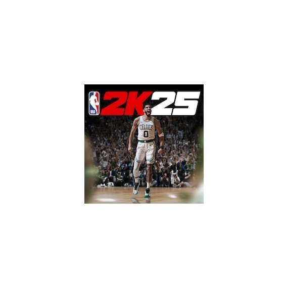 NBA 2K25 Standard Edition PS4 Game