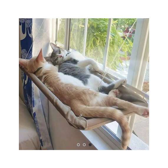 Sunny Seat Window Mounted Perch Bed