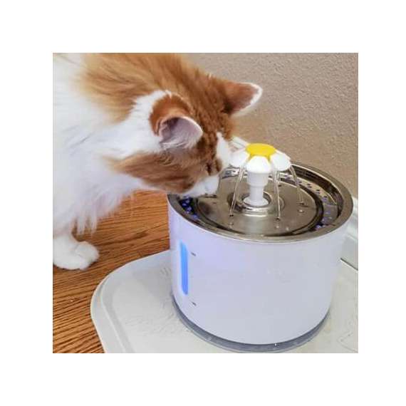 Automatic Cat Water Fountain, 2 image
