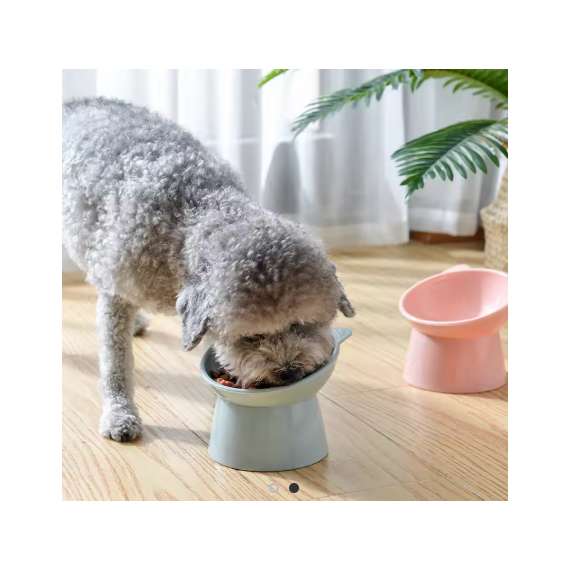 Oblique Wide Mouth Elevated Pet Bowl, 2 image