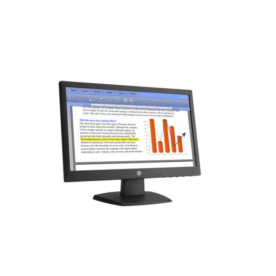 HP V194 18.5 Inch Computer Monitor