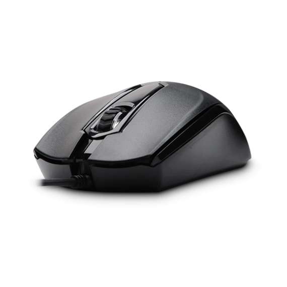 Rapoo N1010 Usb Wired Mouse(Black)