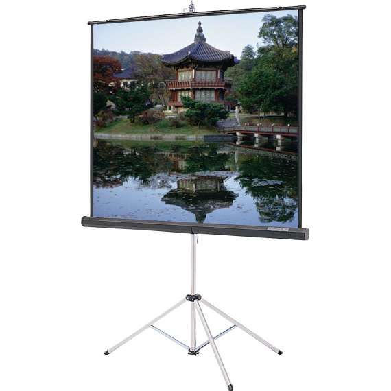 Generic 240 cm X 240 cmTripod Portable Projector Screen