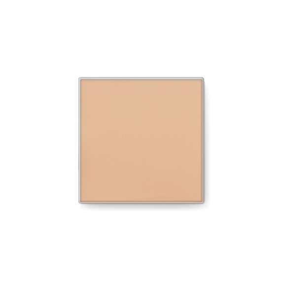 Mary Kay Endless Performance Creme-to-Powder Foundation
