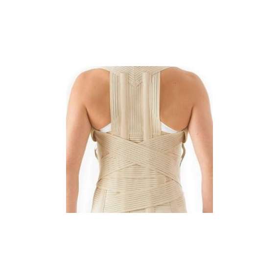 Orthocare Spinal Thoracolumbar Brace, Size: Small