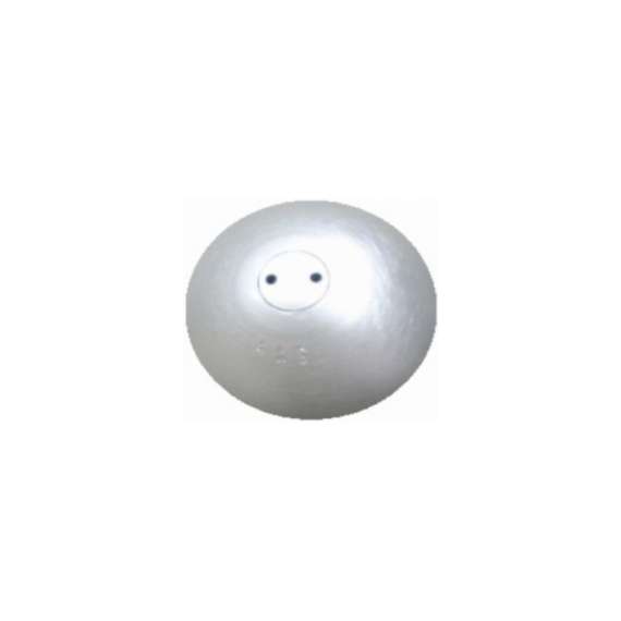 Cast Iron 4kg Shotput