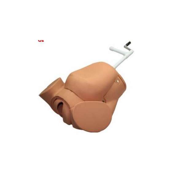 Advanced Childbirth Simulator Model
